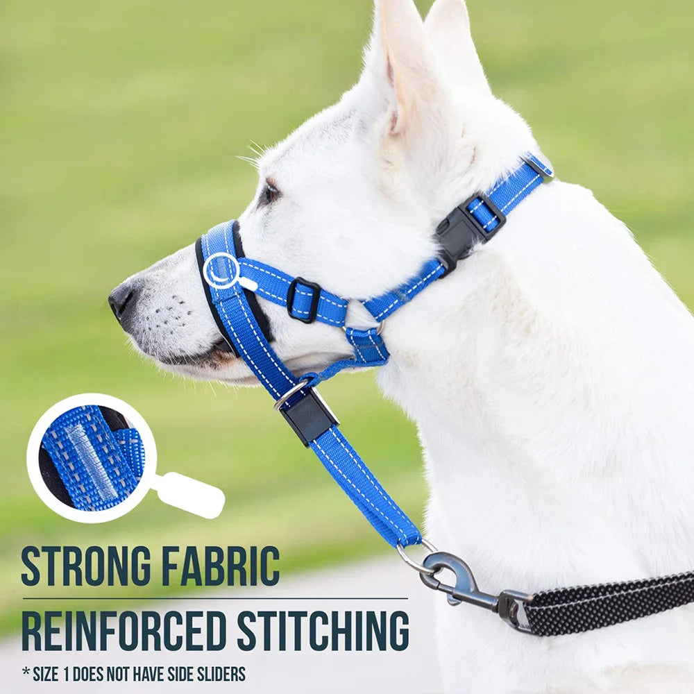 Dog collar around mouth