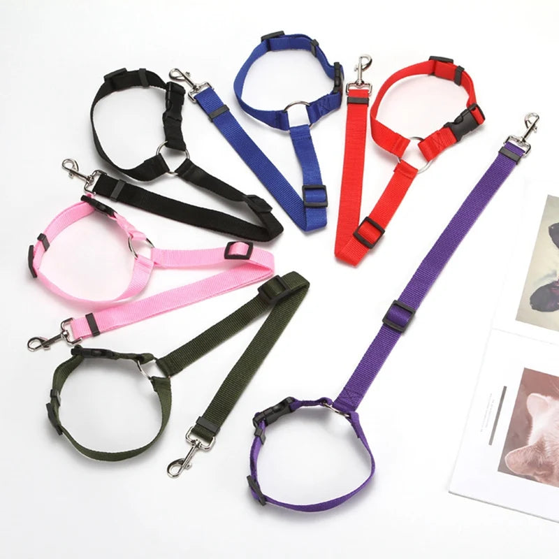 2 in 1 Dog Car Seat Belt & Harness Collar