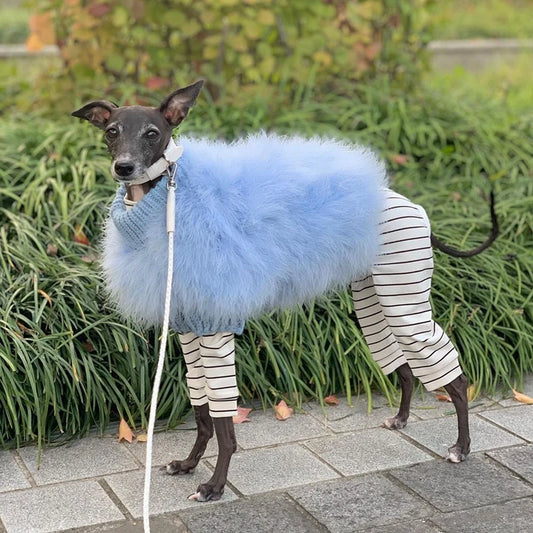 Small dog clothes UK