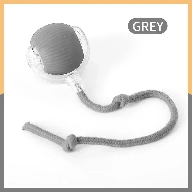 Automatic Rolling Ball Cat Toys Type C rechargeable