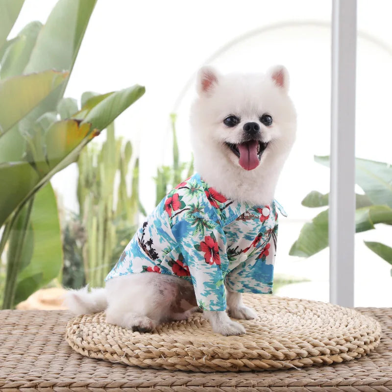 Hawaiian Beach Style T shirts for Dog and Cat