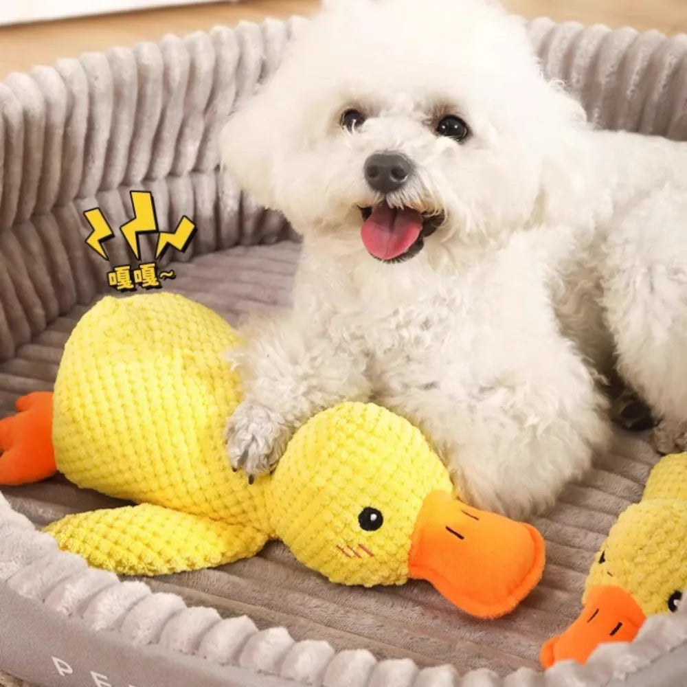 just ducky dog toys