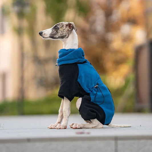 Detachable Wind proof Winter Italian Greyhound Jacket