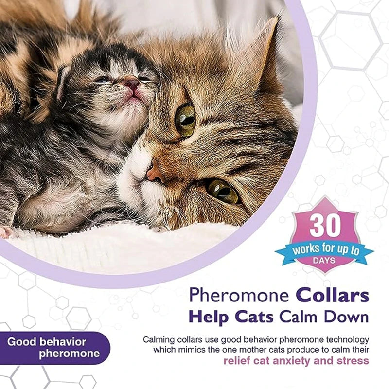 Calming Pheromone Collar for Dogs and Cats