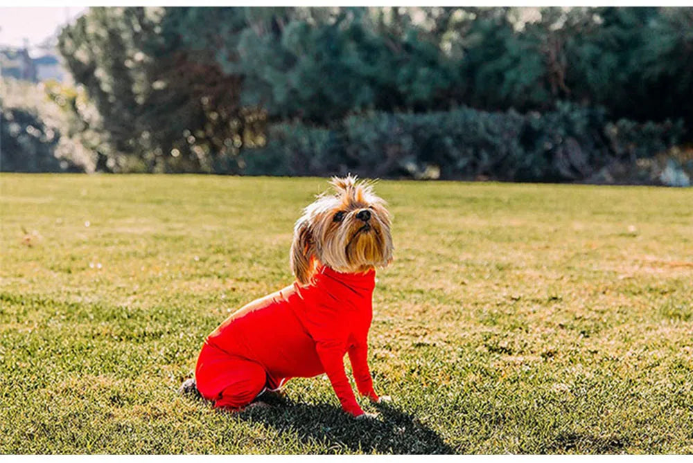 Breathable Dog Protector Suit for Wound Care