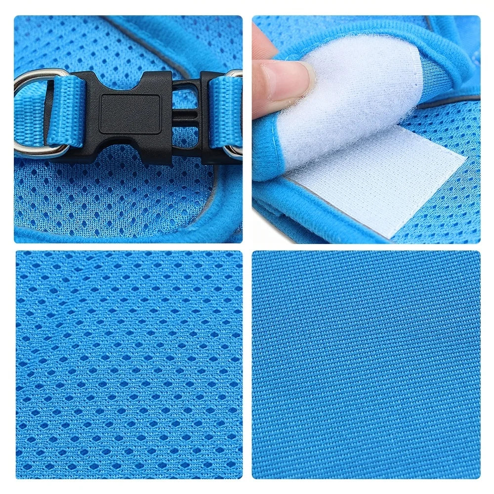 Reflective Velcro Harness and Leads Set