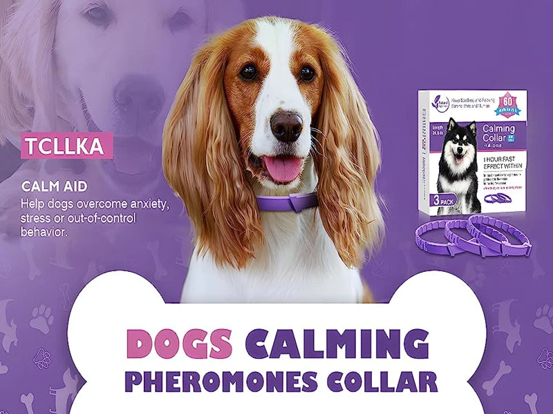 dog calming collar
