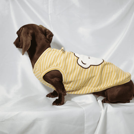 Elastic Summer T Shirts for Dachshunds