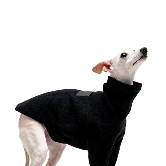High Collar Reversible Italian Greyhound Clothes