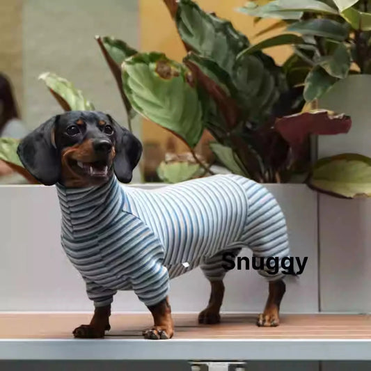 Dachshund Surgery Recovery Suit Onesie