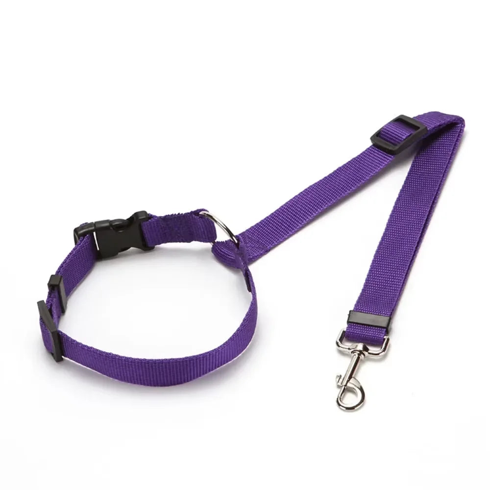 2 in 1 Dog Car Seat Belt & Harness Collar