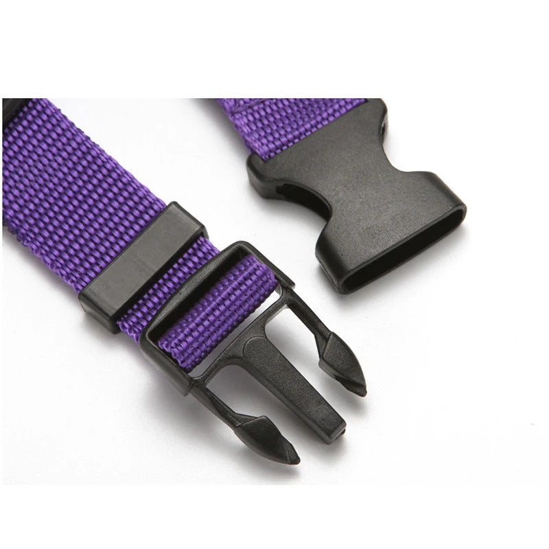 2 in 1 Dog Car Seat Belt & Harness Collar