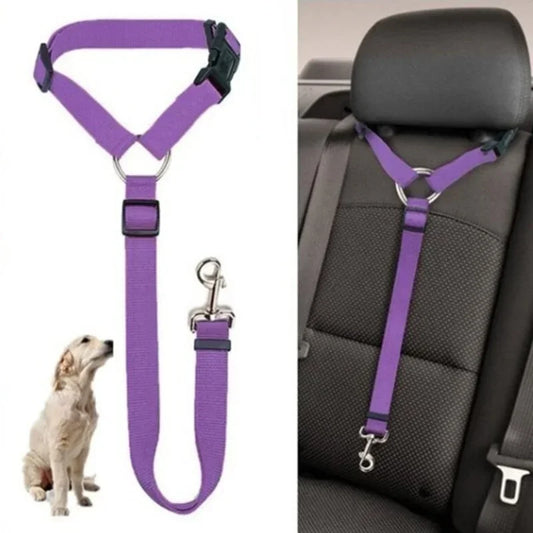dog car harness uk