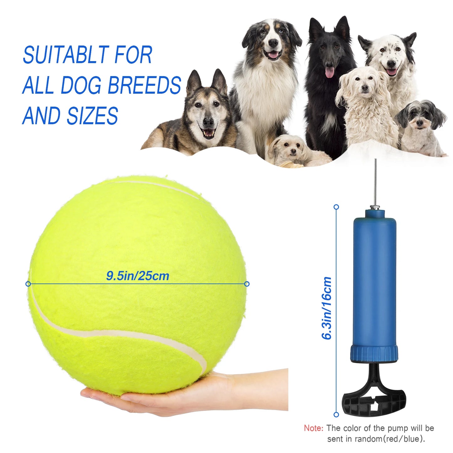giant autograph tennis ball