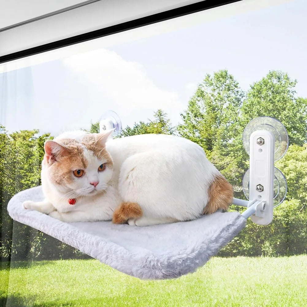 cat hanging bed