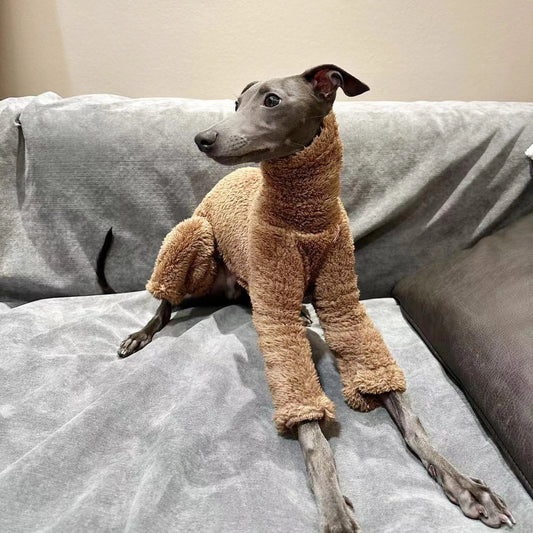Post Surgery Onesies for Italian Greyhounds