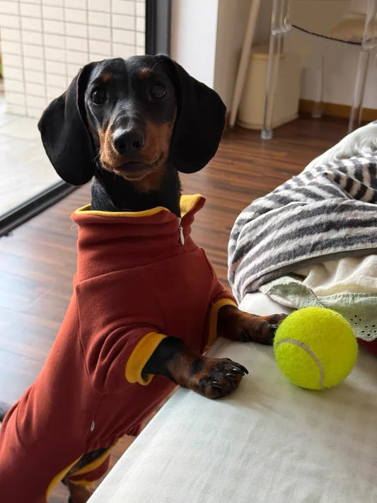 Stylish Dachshund Pajama Suit with 4 Legs