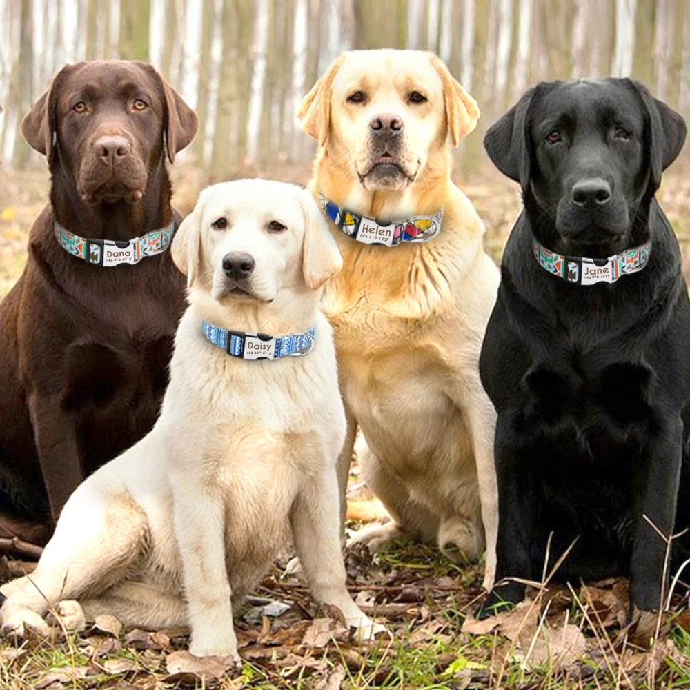 luxury dog collars for large dogs