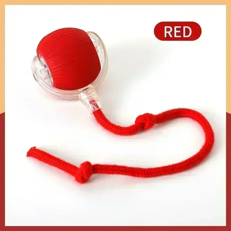 Automatic Rolling Ball Cat Toys Type C rechargeable