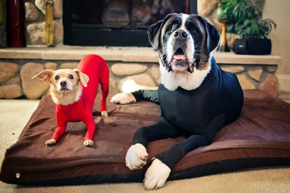 Anti-Lick Post-Op Recovery Clothing for Dogs