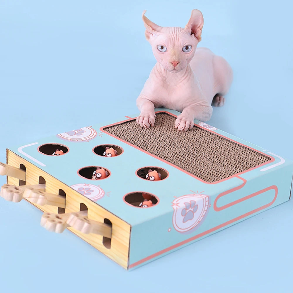 peekaboo dog toy