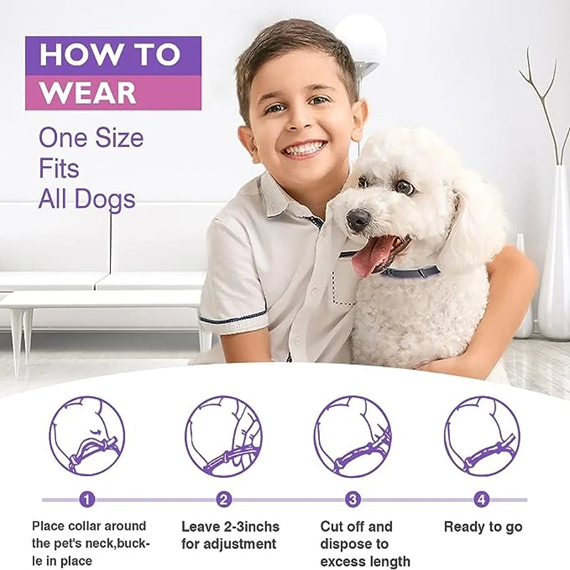 calm dog collar