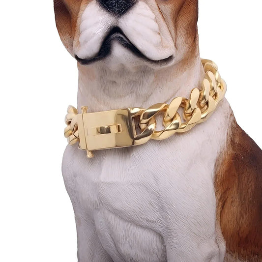 gold chain collar for dogs