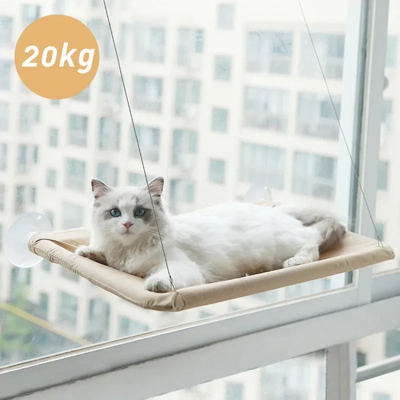 wall mounted cat hammock