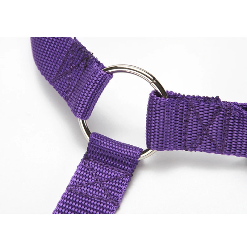 2 in 1 Dog Car Seat Belt & Harness Collar