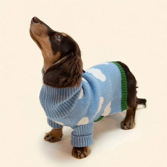 Washable Dachshund Winter Sweater
