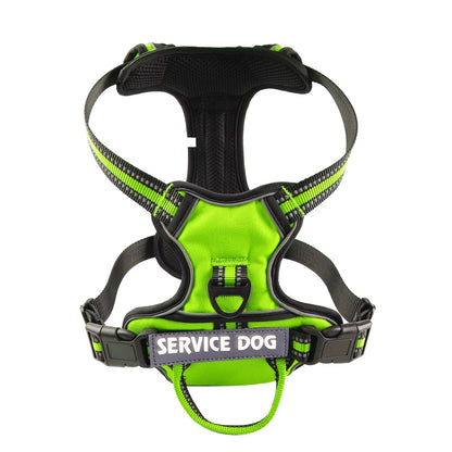 harness for a large dog