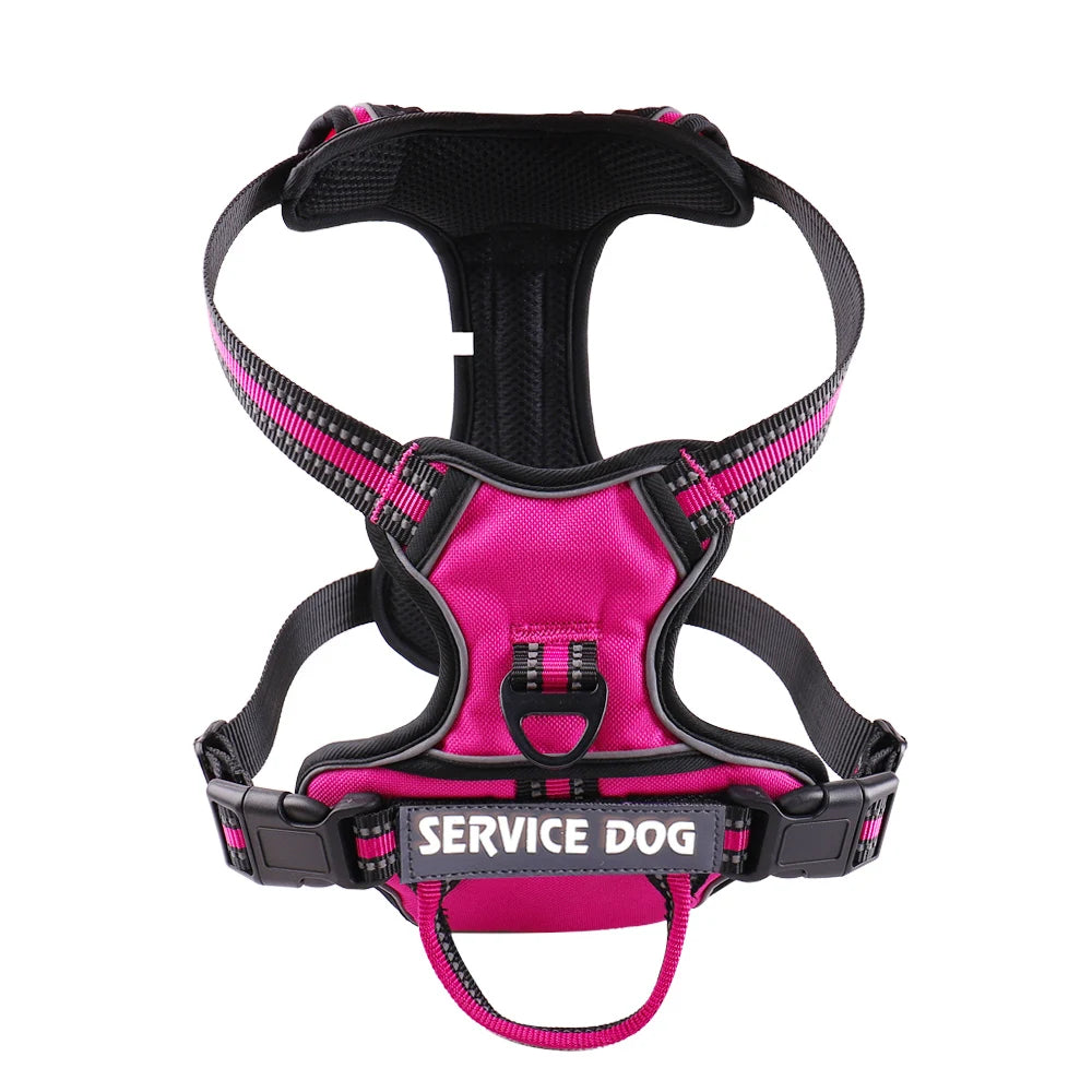 Nylon Dog Harness Available in Large and Small Sizes