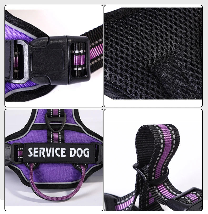 Nylon Dog Harness Available in Large and Small Sizes