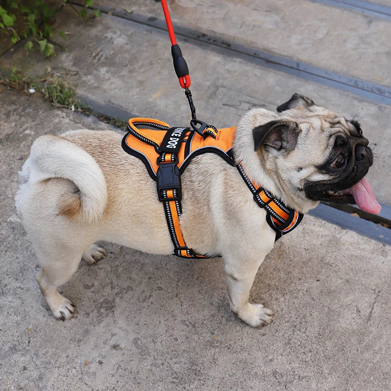 Nylon Dog Harness Available in Large and Small Sizes