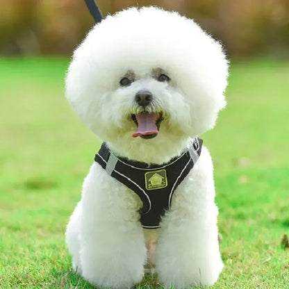 Reflective Velcro Harness and Leads Set For Small Large Dogs