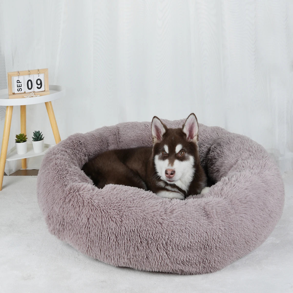 calming donut dog bed