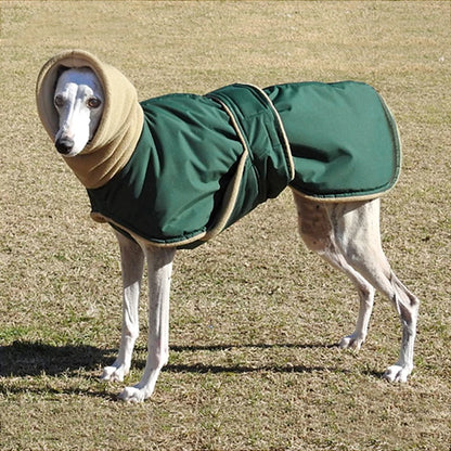 Super Warm Waterproof Greyhound Clothes