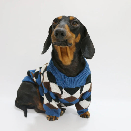 Buy Dachshund Jumpsuit