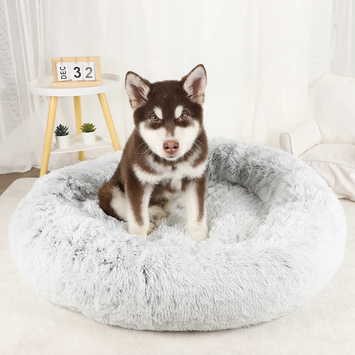 large dog donut bed