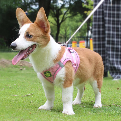 Reflective Velcro Harness and Leads Set For Small Large Dogs
