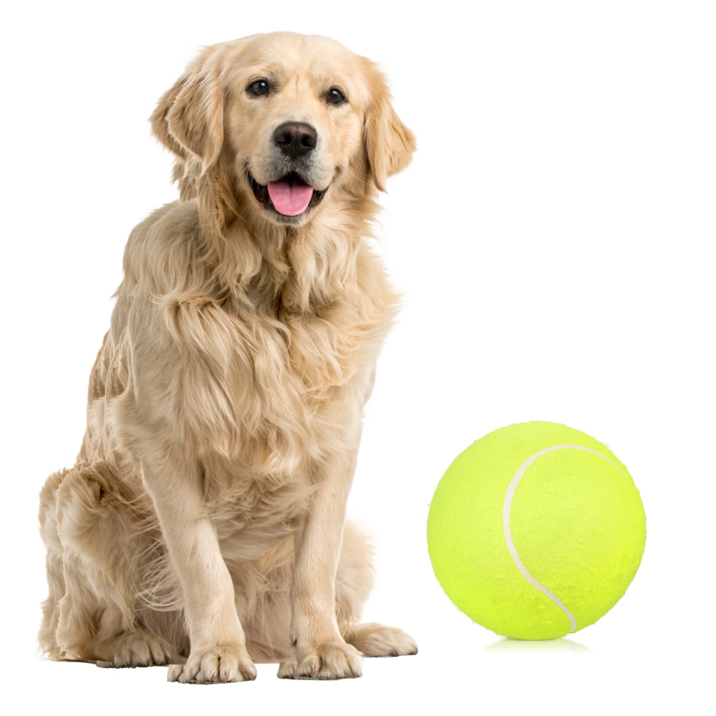 9.5 Giant Tennis Balls for Dogs