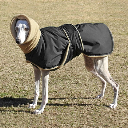 Super Warm Waterproof Greyhound Clothes