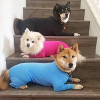 Dog Onesie