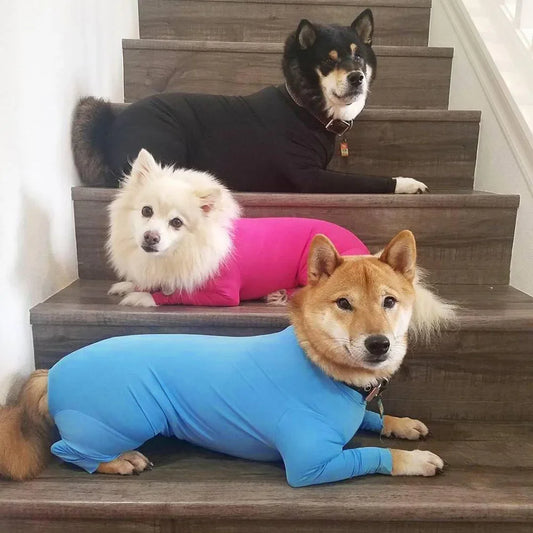Post-Op Dog Suit for Safe & Speedy Recovery

