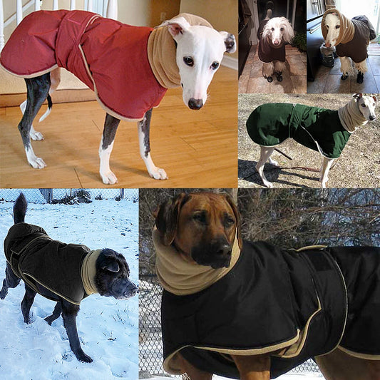Super Warm Waterproof Greyhound Clothes