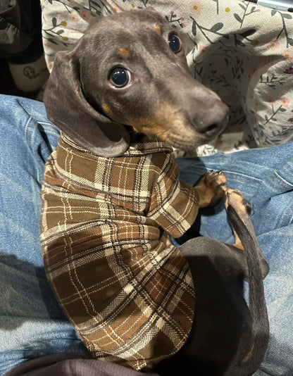 Jumper​s for Sausage