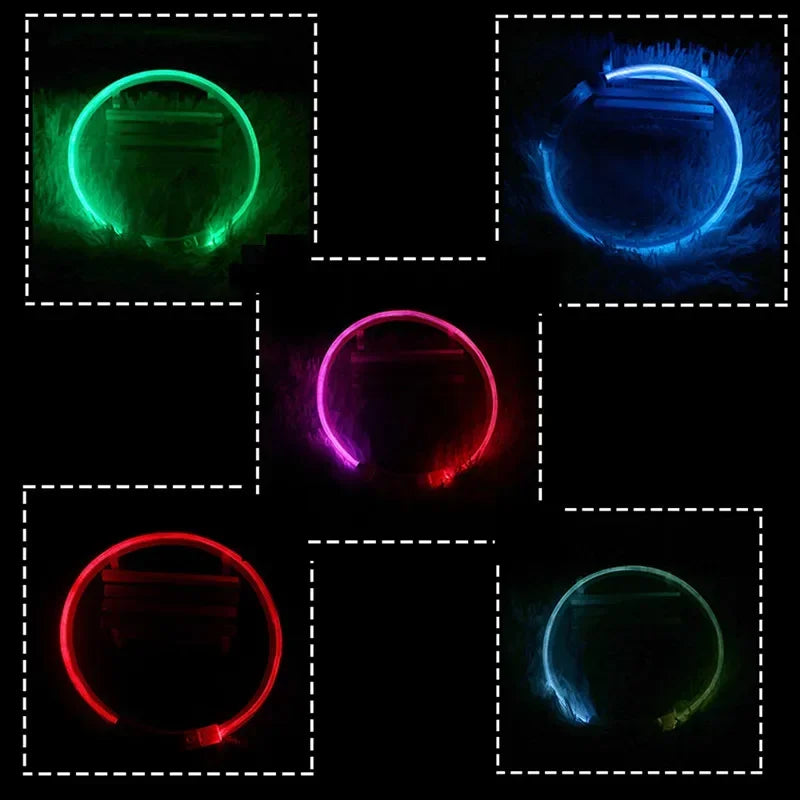 3 Modes USB Rechargeable LED Dog Collar