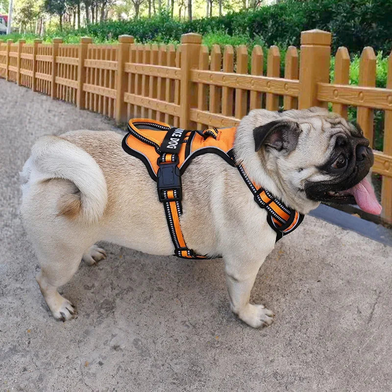 small pet harness for dogs