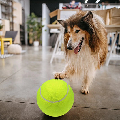 9.5 Giant Tennis Balls for Dogs