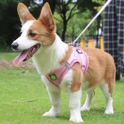 Reflective Velcro Harness and Leads Set For Small Large Dogs